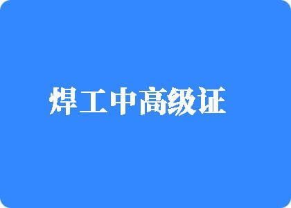 小B操大鸡吧焊工中高级证